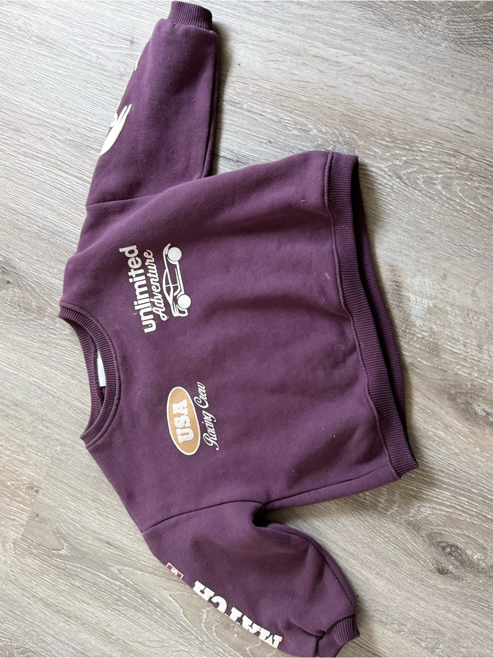 Zara Maroon Graphic Crewneck Sweatshirt